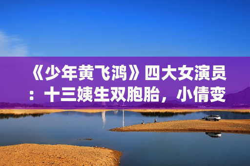 《少年黄飞鸿》四大女演员：十三姨生双胞胎，小倩变美，最红是她(少年黄飞鸿释小龙版)