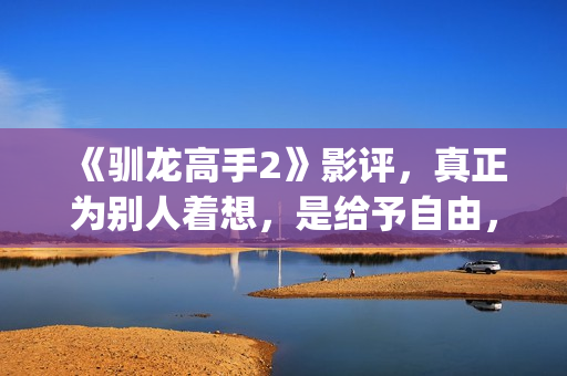 《驯龙高手2》影评，真正为别人着想，是给予自由，这才是真的爱(驯龙高手2在线观看)