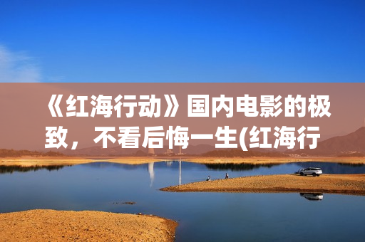 《红海行动》国内电影的极致，不看后悔一生(红海行动svd)