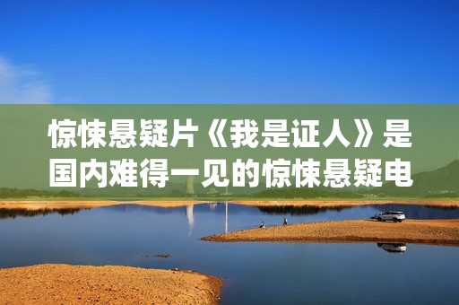 惊悚悬疑片《我是证人》是国内难得一见的惊悚悬疑电影(我要悬疑片)