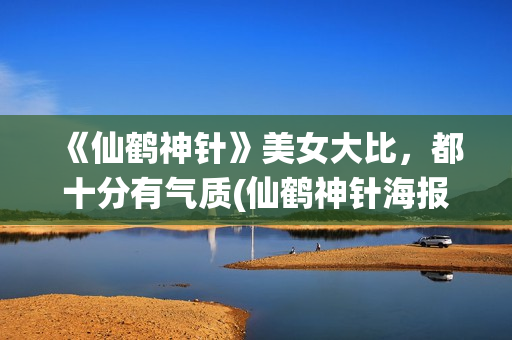 《仙鹤神针》美女大比，都十分有气质(仙鹤神针海报)