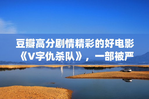 豆瓣高分剧情精彩的好电影《V字仇杀队》，一部被严重低估的大作(豆瓣高分剧情精选)