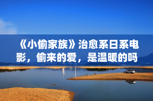 《小偷家族》治愈系日系电影，偷来的爱，是温暖的吗？(小偷家族小偷家族)