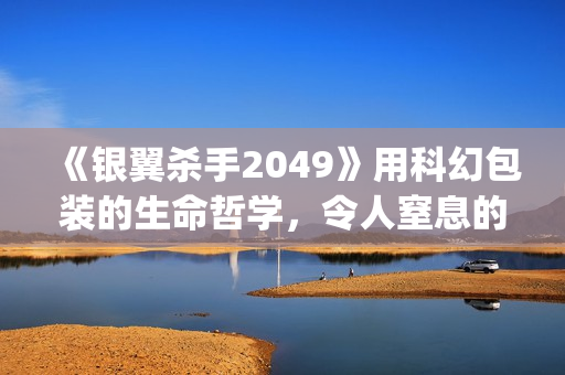《银翼杀手2049》用科幻包装的生命哲学，令人窒息的视觉震撼(银翼杀手2049剧情解析)