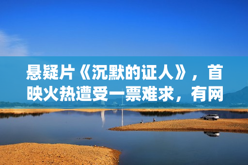 悬疑片《沉默的证人》，首映火热遭受一票难求，有网友质疑是炒作(电影沉默的)