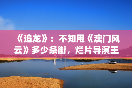 《追龙》：不知甩《澳门风云》多少条街，烂片导演王晶的翻身之作(“追龙”)