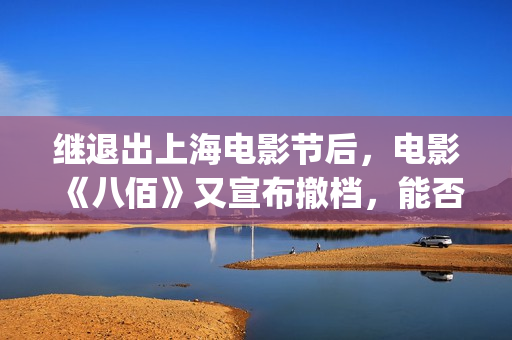 继退出上海电影节后，电影《八佰》又宣布撤档，能否上映成谜(上海电影节导演)