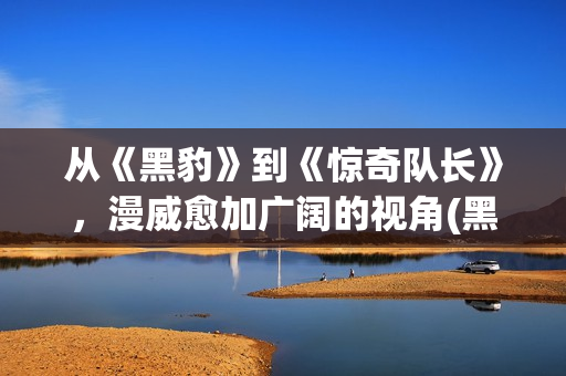 从《黑豹》到《惊奇队长》，漫威愈加广阔的视角(黑豹 体会)