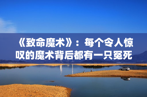 《致命魔术》：每个令人惊叹的魔术背后都有一只冤死的小鸟！(致命魔术 电影)