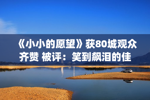 《小小的愿望》获80城观众齐赞 被评：笑到飙泪的佳作(小小的愿望歌曲)