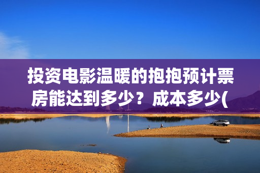 投资电影温暖的抱抱预计票房能达到多少？成本多少(温暖的电影情节)