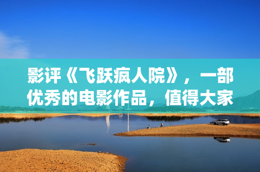 影评《飞跃疯人院》，一部优秀的电影作品，值得大家去观看！(飞跃疯人院剧情介绍)