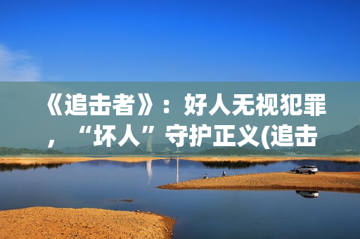 《追击者》：好人无视犯罪，“坏人”守护正义(追击者百科)