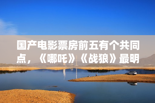 国产电影票房前五有个共同点，《哪吒》《战狼》最明显，发现了吗(国产电影票房排名前五十位的总排名)