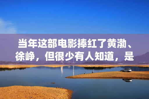 当年这部电影捧红了黄渤、徐峥，但很少有人知道，是刘德华投资的(这部电影是几几年拍的)