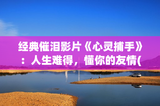 经典催泪影片《心灵捕手》：人生难得，懂你的友情(经典电影催泪片段)