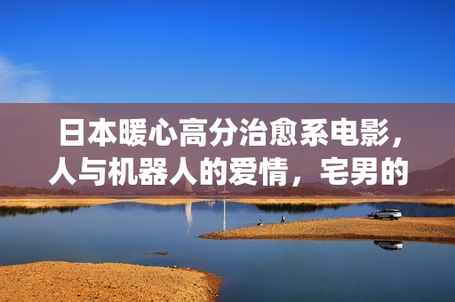 日本暖心高分治愈系电影，人与机器人的爱情，宅男的理想型女友(日本暖心电影推荐)