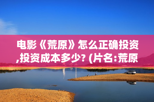 电影《荒原》怎么正确投资,投资成本多少? (片名:荒原)