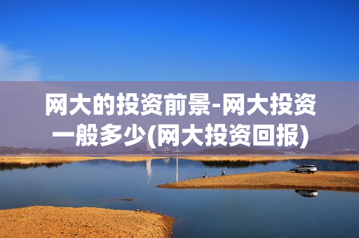 网大的投资前景-网大投资一般多少(网大投资回报)