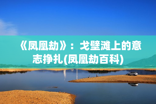 《凤凰劫》：戈壁滩上的意志挣扎(凤凰劫百科)
