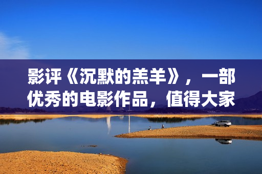 影评《沉默的羔羊》，一部优秀的电影作品，值得大家去观看！(沉默的电影片段)