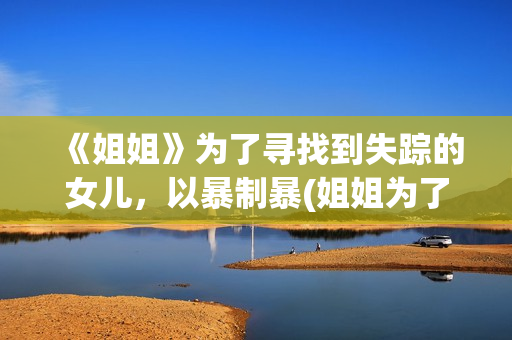 《姐姐》为了寻找到失踪的女儿，以暴制暴(姐姐为了弟弟的前程)
