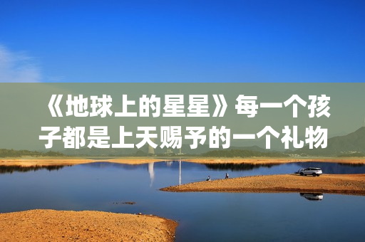 《地球上的星星》每一个孩子都是上天赐予的一个礼物(地球上的星星(国语版))