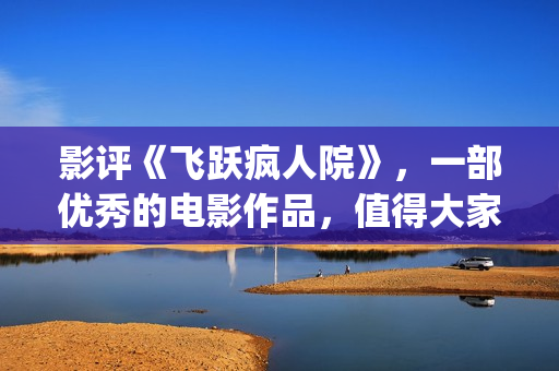 影评《飞跃疯人院》，一部优秀的电影作品，值得大家去观看！(飞跃疯人院台词图片)