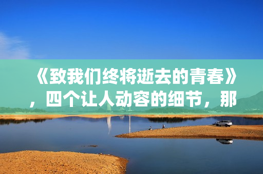 《致我们终将逝去的青春》，四个让人动容的细节，那是你的青春吗(致我们终将逝去的青春 辛夷坞)