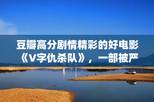豆瓣高分剧情精彩的好电影《V字仇杀队》，一部被严重低估的大作(豆瓣高分top)