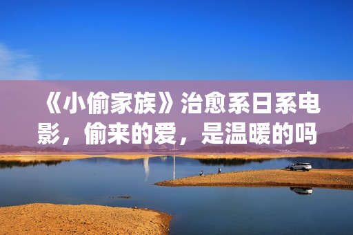 《小偷家族》治愈系日系电影，偷来的爱，是温暖的吗？(小偷家族121min)