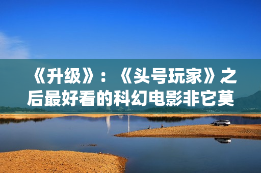 《升级》：《头号玩家》之后最好看的科幻电影非它莫属(升级头像)