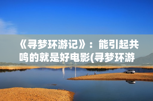 《寻梦环游记》：能引起共鸣的就是好电影(寻梦环游记(普通话版))
