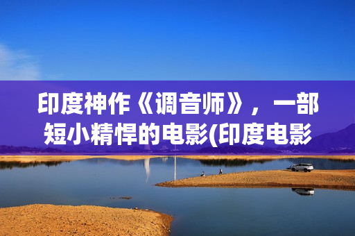 印度神作《调音师》，一部短小精悍的电影(印度电影调音师解读)