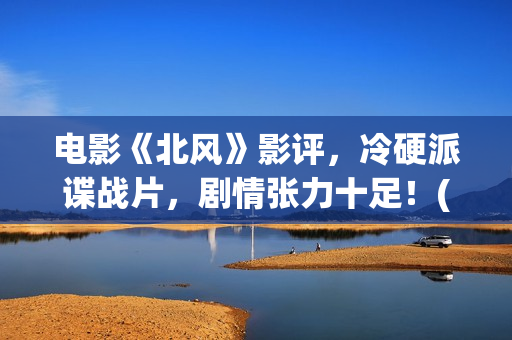 电影《北风》影评，冷硬派谍战片，剧情张力十足！(北风电影下载)