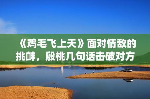 《鸡毛飞上天》面对情敌的挑衅，殷桃几句话击破对方(《鸡毛飞上天》电视剧)