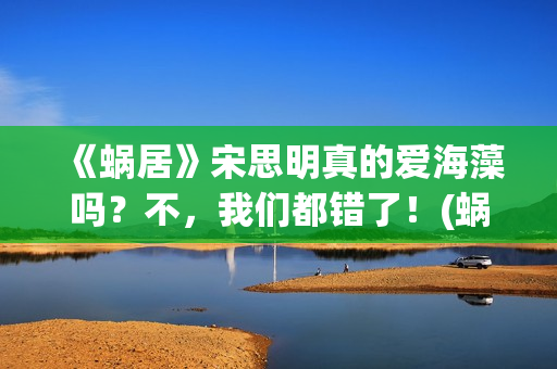 《蜗居》宋思明真的爱海藻吗？不，我们都错了！(蜗居宋思明老丈人是什么官)
