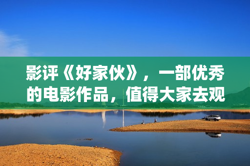 影评《好家伙》，一部优秀的电影作品，值得大家去观看！(电影《好家伙》)