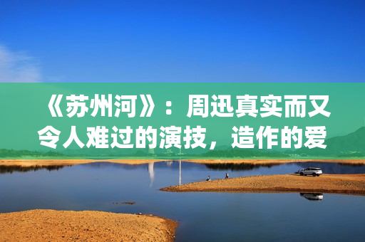 《苏州河》：周迅真实而又令人难过的演技，造作的爱情更显动人(周迅苏州河讲的什么)