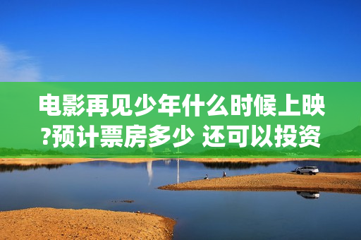 电影再见少年什么时候上映?预计票房多少 还可以投资吗(再见少年电影演员)