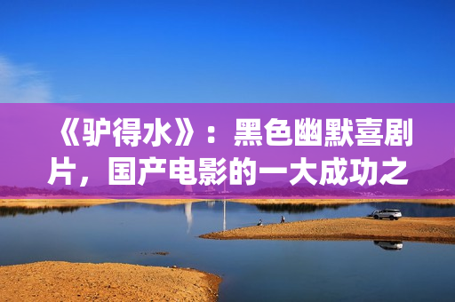 《驴得水》：黑色幽默喜剧片，国产电影的一大成功之作！(驴得水原版)