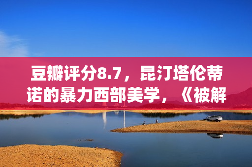 豆瓣评分8.7，昆汀塔伦蒂诺的暴力西部美学，《被解救的姜戈》(昆汀电影豆瓣评分)