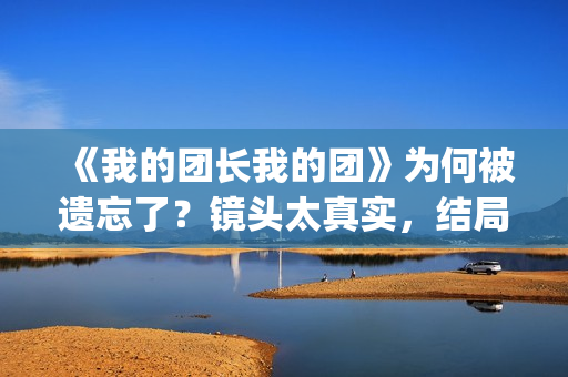 《我的团长我的团》为何被遗忘了？镜头太真实，结局太虐心(我的团长我的团免费完整版在线观看)