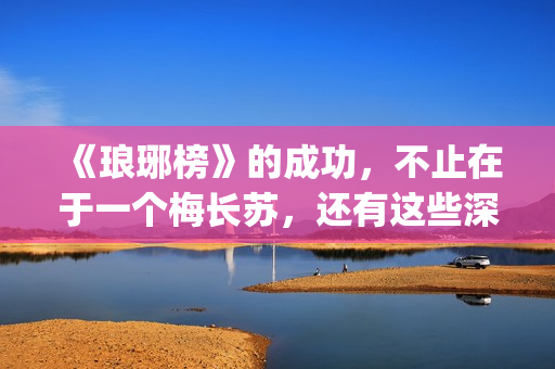《琅琊榜》的成功，不止在于一个梅长苏，还有这些深入人心的角色(琅琊榜的成就)