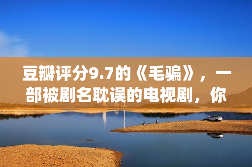豆瓣评分9.7的《毛骗》，一部被剧名耽误的电视剧，你看过没？(豆瓣评分高达9分以上)
