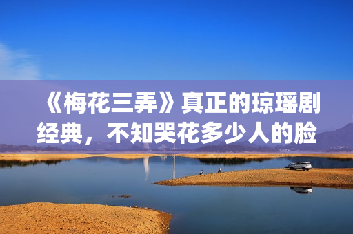 《梅花三弄》真正的琼瑶剧经典，不知哭花多少人的脸(梅花三弄是真实的故事吗)