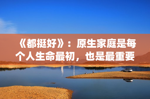 《都挺好》：原生家庭是每个人生命最初，也是最重要的关系。(都挺好原著苏明成在监狱经历了什么)