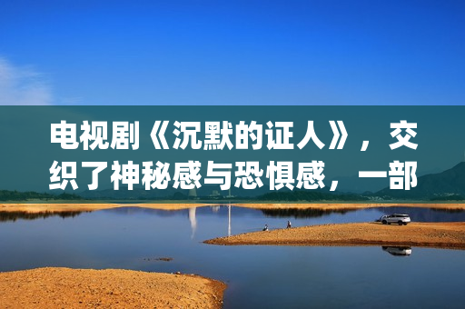 电视剧《沉默的证人》，交织了神秘感与恐惧感，一部经典的刑侦剧(电视剧《沉默的荣耀》)