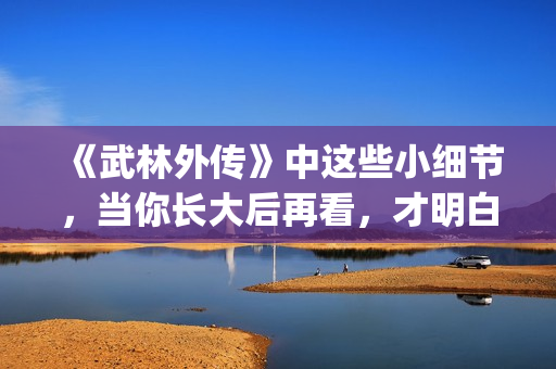 《武林外传》中这些小细节，当你长大后再看，才明白社会的险恶！(武林外传中郭巨侠在家排名老几)