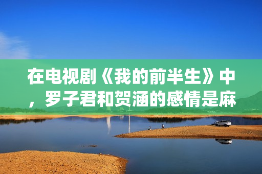 在电视剧《我的前半生》中，罗子君和贺涵的感情是麻烦出来的(我的电视剧叫什么)